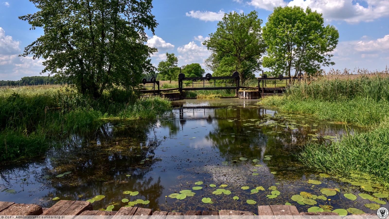 Tama na Szprotawie, Przemków