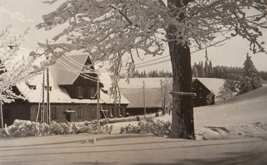 Budynek nr 24 (d. schronisko), Rybnica Leśna