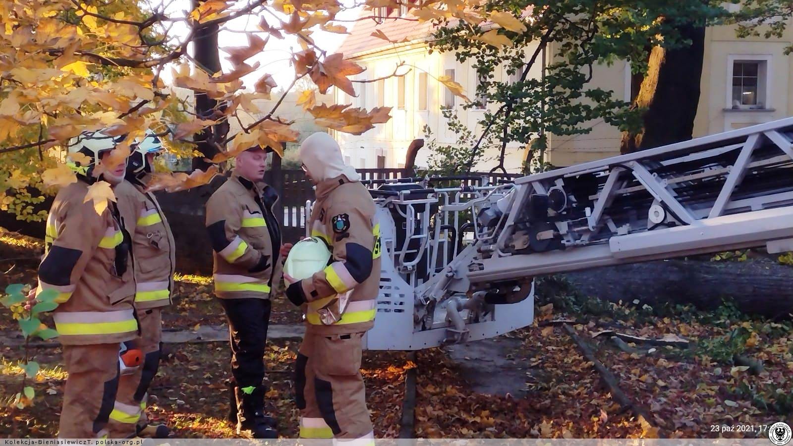 Zakład Lecznictwa Odwykowego (dawny pałac), ul. Parkowa, Czarny Bór